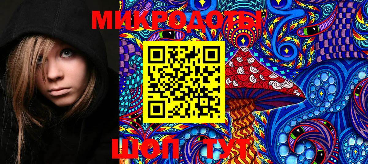 Галлюциногенные грибы Psilocybine cubensis Печора