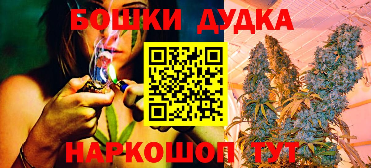 Конопля сатива Печора